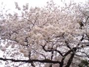 �摜(180x135)�E�g��摜(320x240)