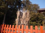 �摜(180x135)�E�g��摜(320x240)