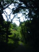 �摜(135x180)�E�g��摜(240x320)