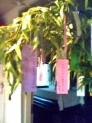 �摜(135x180)�E�g��摜(240x320)