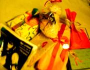 �摜(180x141)�E�g��摜(282x221)