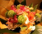 �摜(180x145)�E�g��摜(319x258)