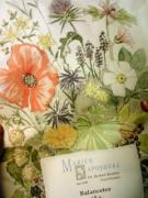 �摜(135x180)�E�g��摜(240x320)