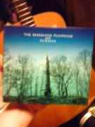 �摜(135x180)�E�g��摜(240x320)