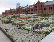 �摜(180x138)�E�g��摜(623x480)