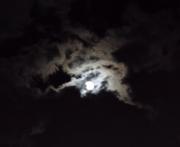 �摜(180x147)�E�g��摜(584x480)