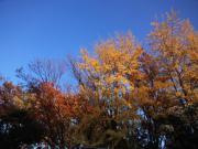 �摜(180x135)�E�g��摜(640x480)