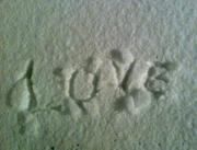 �摜(180x137)�E�g��摜(640x490)