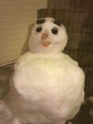 �摜(135x180)�E�g��摜(240x320)