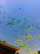 �摜(134x180)�E�g��摜(358x480)