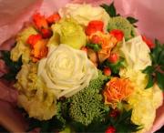 �摜(180x146)�E�g��摜(640x521)