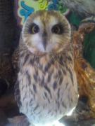 �摜(135x180)�E�g��摜(240x320)