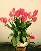 �摜(146x180)�E�g��摜(476x585)