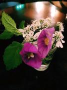 �摜(135x180)�E�g��摜(480x640)