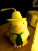 �摜(135x180)�E�g��摜(480x640)