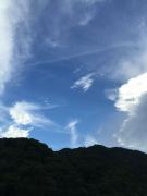 �摜(135x180)�E�g��摜(480x640)