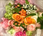 �摜(180x150)�E�g��摜(640x535)