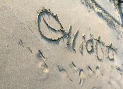 �摜(180x131)�E�g��摜(640x468)