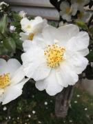 �摜(135x180)�E�g��摜(480x640)