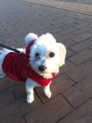 �摜(135x180)�E�g��摜(480x640)