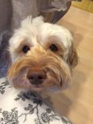 �摜(135x180)�E�g��摜(480x640)