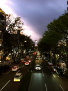 �摜(135x180)�E�g��摜(240x320)