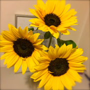 �摜(180x180)�E�g��摜(640x640)