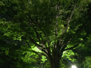 �摜(180x135)�E�g��摜(640x480)