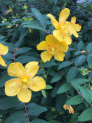 �摜(135x180)�E�g��摜(480x640)