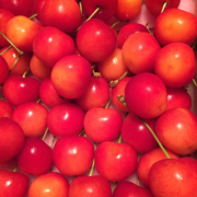 �摜(180x180)�E�g��摜(320x320)