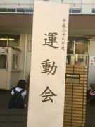 �摜(135x180)�E�g��摜(480x640)