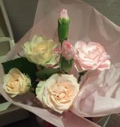 �摜(170x180)�E�g��摜(607x640)