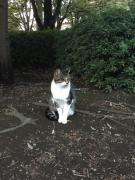 �摜(135x180)�E�g��摜(480x640)