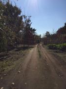 �摜(135x180)�E�g��摜(480x640)