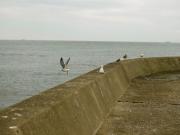 �摜(180x135)�E�g��摜(640x480)