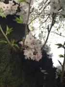 �摜(135x180)�E�g��摜(480x640)