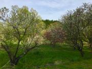 �摜(180x135)�E�g��摜(640x480)