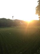 �摜(135x180)�E�g��摜(480x640)