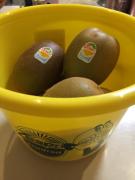 �摜(135x180)�E�g��摜(480x640)