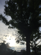 �摜(135x180)�E�g��摜(480x640)