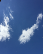 �摜(145x180)�E�g��摜(518x640)