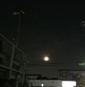 �摜(175x180)�E�g��摜(624x640)