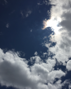 �摜(143x180)�E�g��摜(509x640)