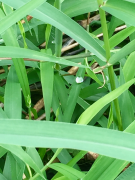 �摜(135x180)�E�g��摜(480x640)