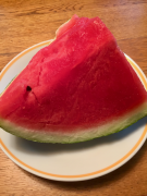 �摜(135x180)�E�g��摜(480x640)