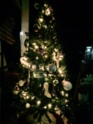 �摜(135x180)�E�g��摜(240x320)