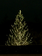 �摜(135x180)�E�g��摜(480x640)