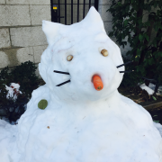 �摜(180x180)�E�g��摜(640x640)