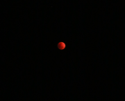 �摜(180x146)�E�g��摜(320x261)