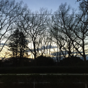 �摜(180x180)�E�g��摜(320x320)